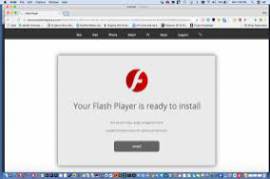 Adobe Flash Player
